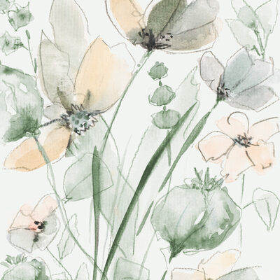 Image Not Available
